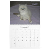 2010 Sibirians Cats & Kittens Kalender 2 (Feb 2027)