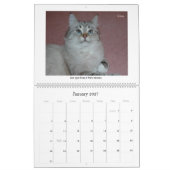 2010 Sibirians Cats & Kittens Kalender 2 (Jan 2027)