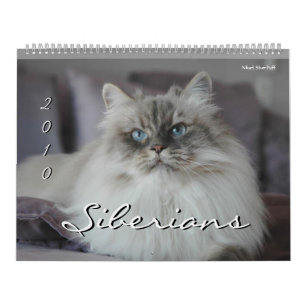 2010 Sibirians Cats & Kittens Kalender 2