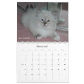 2010 Sibirians Cats & Kittens Kalender 3 (Mär 2027)