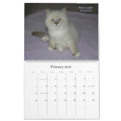 2010 Sibirians Cats & Kittens Kalender 3 (Feb 2026)