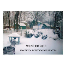 2010, SNOW IN FORTYNINE STAATEN Poster