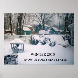 2010, SNOW IN FORTYNINE STAATEN Poster