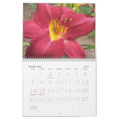 2010 Taglilien Kalender (Feb 2027)