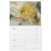 2010 Taglilien Kalender (Mär 2027)