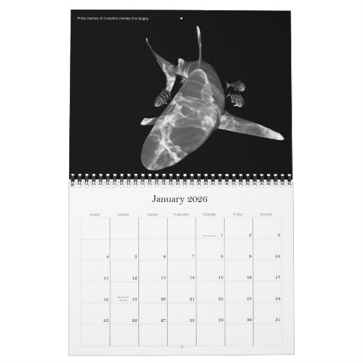 2010 TauchkalenderEin Unterwasser-Foto Kalender (Jan 2026)