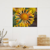 2010f_may, Craig Krieger Poster (Küche)