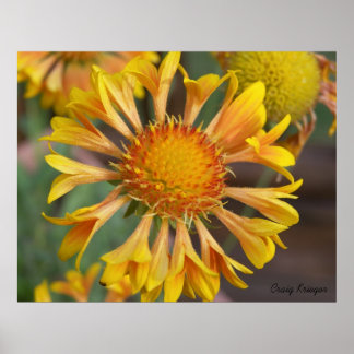 2010f_may, Craig Krieger Poster