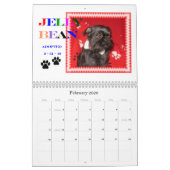 2011 ABGRA Rettungs-Kalender Kalender (Feb 2026)