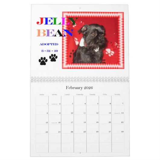 2011 ABGRA Rettungs-Kalender Kalender (Feb 2026)