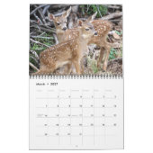2011 DavesGarden.com Kalender (Mär 2027)