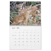 2011 DavesGarden.com Kalender (Mär 2026)