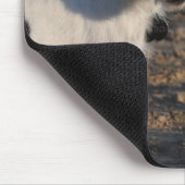 2011 Dog Calendar - Parson Jack Russell Terrier Mousepad (Ecke)