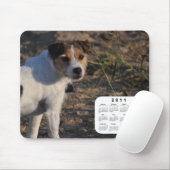 2011 Dog Calendar - Parson Jack Russell Terrier Mousepad (Mit Mouse)