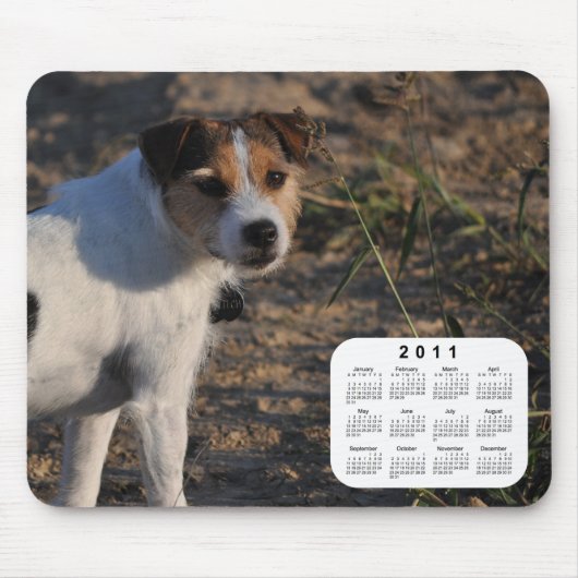 2011 Dog Calendar - Parson Jack Russell Terrier Mousepad (Vorne)