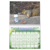 2011 Eichhörnchen-Kalender Kalender (Mär 2027)