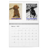 2011 Haustiere Hunne Kalender (Feb 2027)