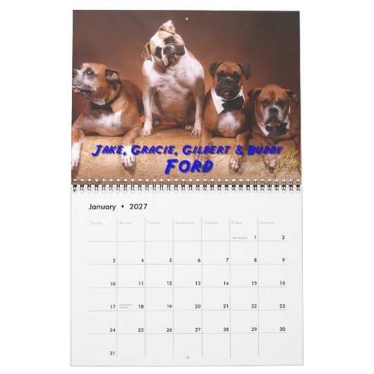 2011 Haustiere Hunne Kalender (Jan 2027)