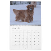 2011 - Hündchen-Tatzenpinup-Kalender Kalender (Jan 2026)