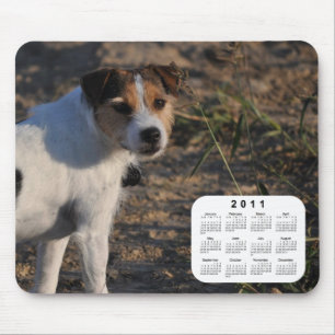 2011 Hundekalender - Pastor-Jack-Russell-Terrier Mousepad