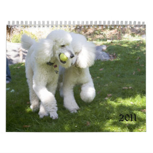 2011 KALENDER