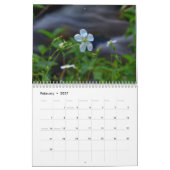 2011 Kalender aktualisierte Titel (Feb 2027)