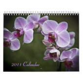 2011 Kalender - Blumen (Titelbild)