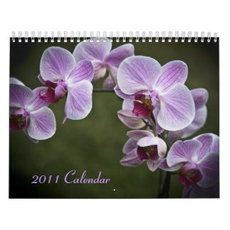 2011 Kalender - Blumen