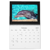 2011 Kalender-Delphin-Fotografie Kalender (Feb 2027)