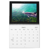 2011 Kalender-Delphin-Fotografie Kalender (Mär 2027)