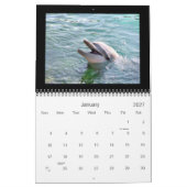 2011 Kalender-Delphin-Fotografie Kalender (Jan 2027)