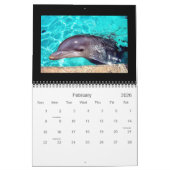 2011 Kalender-Delphin-Fotografie Kalender (Feb 2026)
