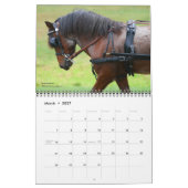 2011 Kalender für gefährdete Pferdezucht (Mär 2027)
