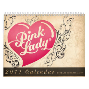 2011 Kalender rosa Damen-Amerikas