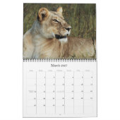 2011 Kalender - wild lebende Tiere Afrika (Mär 2027)