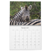 2011 Kalender - wild lebende Tiere Afrika (Jan 2027)