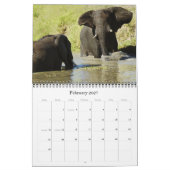 2011 Kalender - wild lebende Tiere Afrika (Feb 2027)