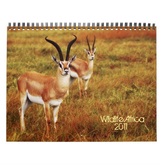 2011 Kalender - wild lebende Tiere Afrika (Titelbild)