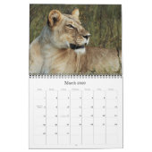 2011 Kalender - wild lebende Tiere Afrika (Mär 2026)
