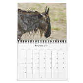 2011 Kalender - wild lebende Tiere Afrika - klein (Feb 2027)