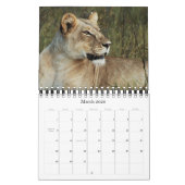 2011 Kalender - wild lebende Tiere Afrika - klein (Mär 2026)