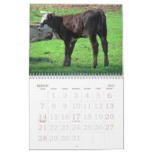2011 Kuh-Kalender Kalender (Mär 2027)