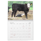 2011 Kuh-Kalender Kalender (Jan 2026)