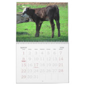 2011 Kuh-Kalender Kalender (Mär 2026)