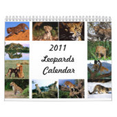 2011 Leopard-Kalender Kalender (Titelbild)