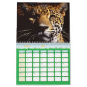 2011 Leopard-Kalender Kalender (Mär 2027)