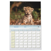 2011 Leopard-Kalender Kalender (Feb 2027)
