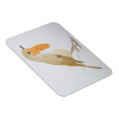 2011 MAGNET (Rechte Seite)