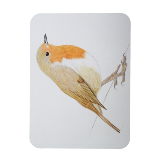 2011 MAGNET (Vertikal)