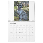 2011 seidene Windhound Welpen Kalender (Mär 2027)